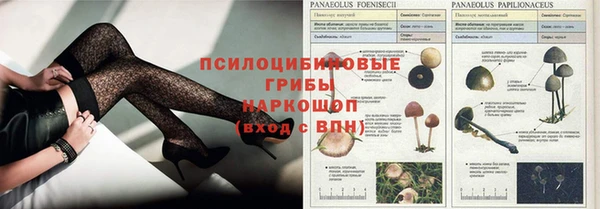 шишки Богородицк