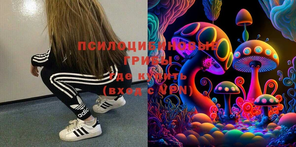 гидра Богданович