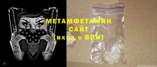 шишки Богородицк