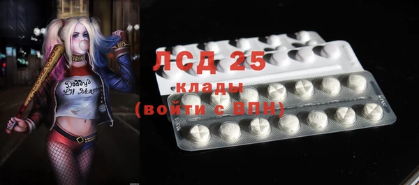 гидра Богданович