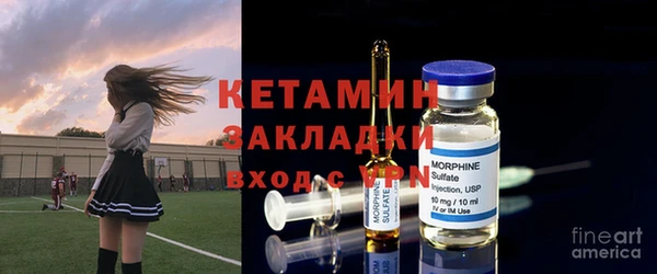 шишки Богородицк