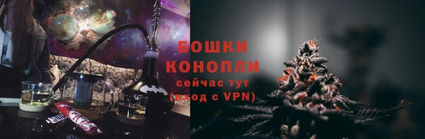 гидра Богданович