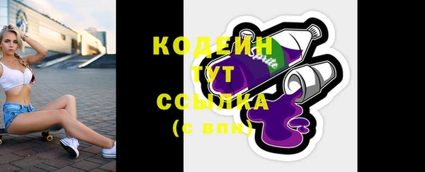 шишки Богородицк