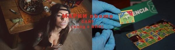 шишки Богородицк