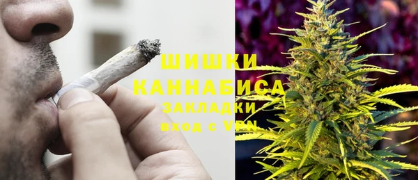 гидра Богданович