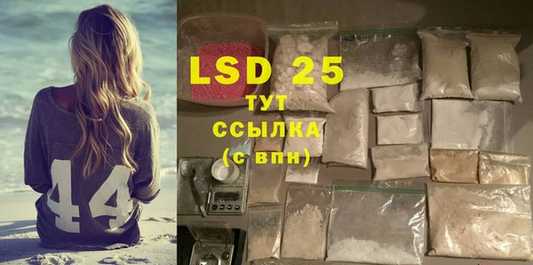 гидра Богданович
