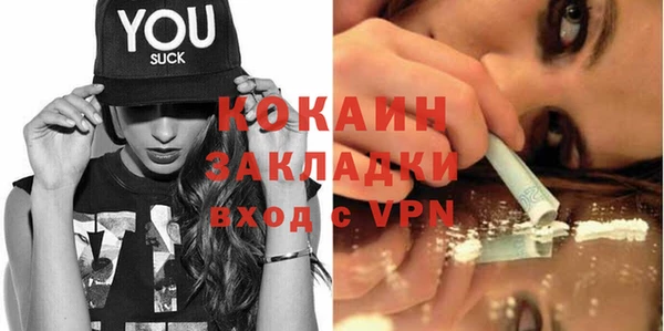 гидра Богданович